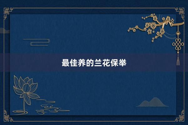 最佳养的兰花保举