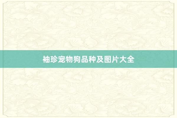 袖珍宠物狗品种及图片大全
